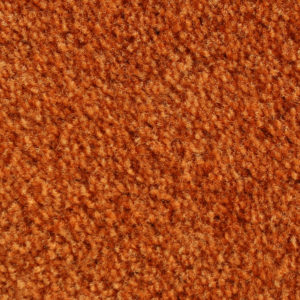 Designer Plus Collection